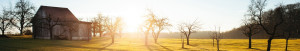 header-crop